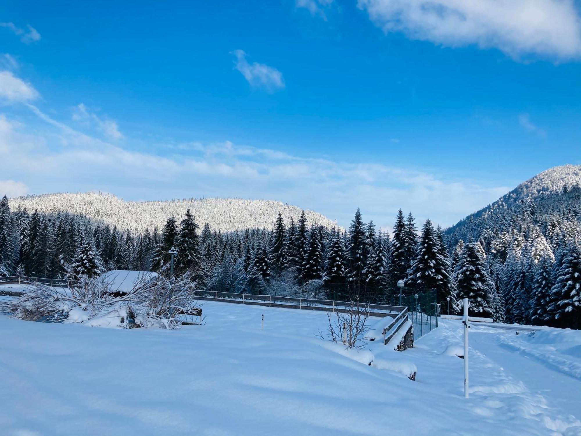 Le Perchoir Du Grand Valtin - Gite 5 Personnes - Altitude 830 Ban-sur-Meurthe-Clefcy Εξωτερικό φωτογραφία