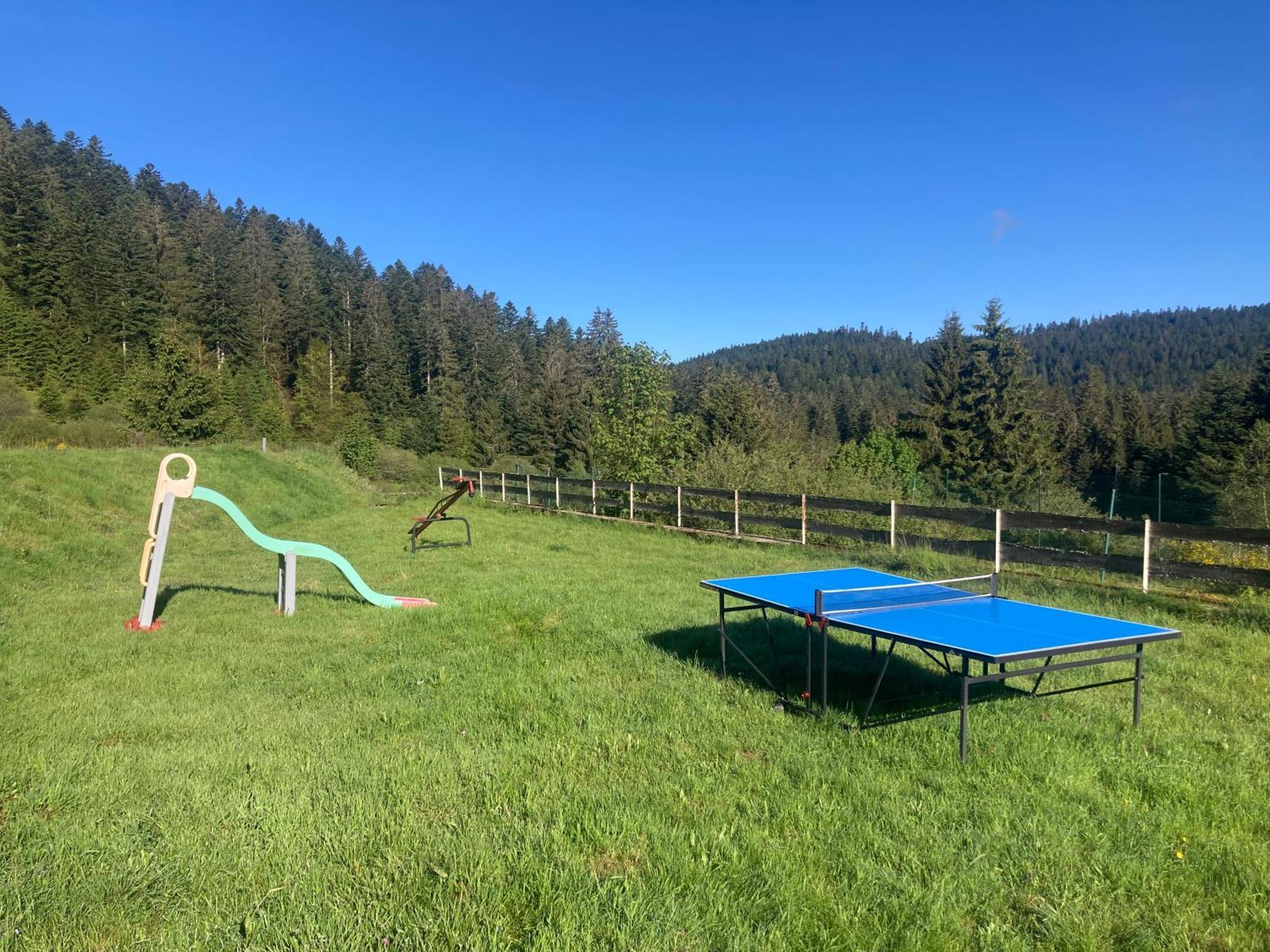 Le Perchoir Du Grand Valtin - Gite 5 Personnes - Altitude 830 Ban-sur-Meurthe-Clefcy Εξωτερικό φωτογραφία